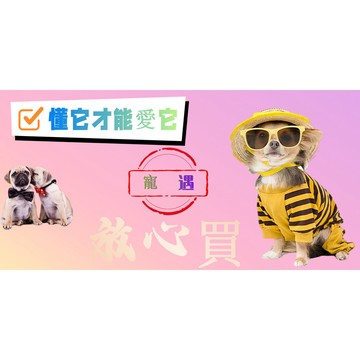 寵遇售後專用鏈接，非請勿拍！！！