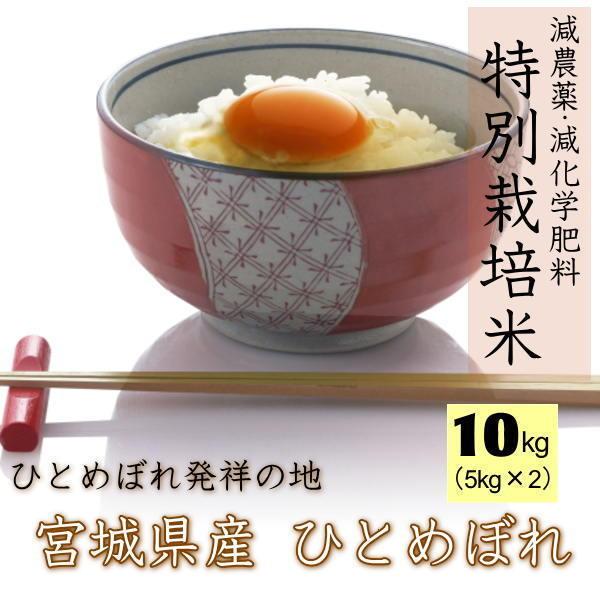 新米 令和5年産 宮城県 登米産  ひとめぼれ 10kg 宮城県認証 玄米 10kg １袋  白米 5kg×2   無洗米 5kg×2 要選択 ※沖縄県送料2,000円