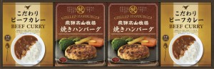 飛騨高山牧場 焼ハンバーグビーフカレーセット B