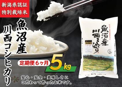 魚沼産川西こしひかり5kg　新潟県認証特別栽培米　令和５年度米