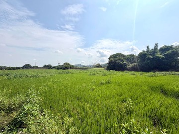 霧峰國道六號舊正交流道｜3分農地｜台中市霧峰區舊正東段