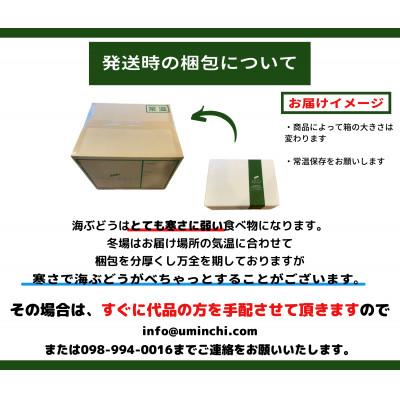 ふるさと納税 糸満市 朝採れ!ぷちぷち海ぶどう400g