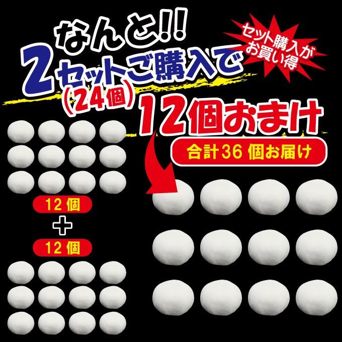 送料無料 まん丸生餃子冷凍12個入り 2セット購入で12個以上プレゼント 中華 点心 ぎょうざ ギョウザ 羽付き