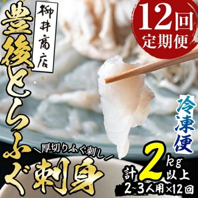 とらふぐ刺身 (総量約2kg・2-3人用×12回)