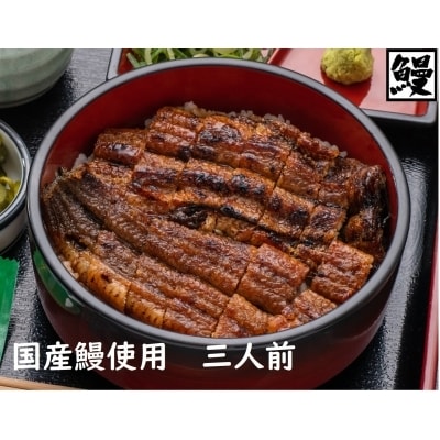 おうちでひつまぶし　3人前 炭火焼きうなぎ