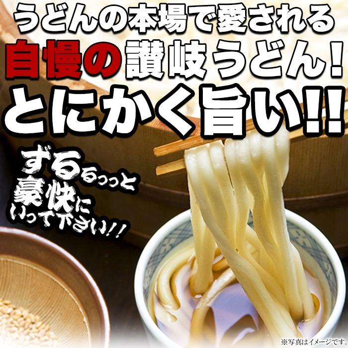 1000円ポッキリ 鎌田醤油特製ダシ醤油6袋付き 讃岐うどん6食分600g（300g×2袋）