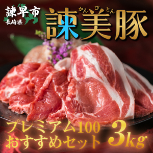 諫美豚(かんびとん)プレミアムおすすめセット3kg