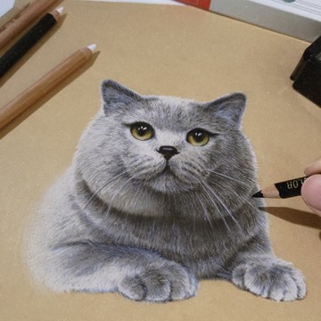 客製化 寵物色鉛筆 含框 肖像訂製