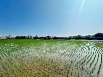 頭份文英街方正美農地｜苗栗縣頭份市尖山
