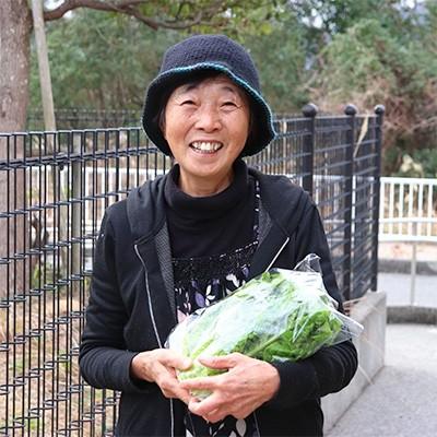 ふるさと納税 須崎市 とれたて新鮮!旬の朝採れ野菜8品目と高知県産コシヒカリ5kgセット