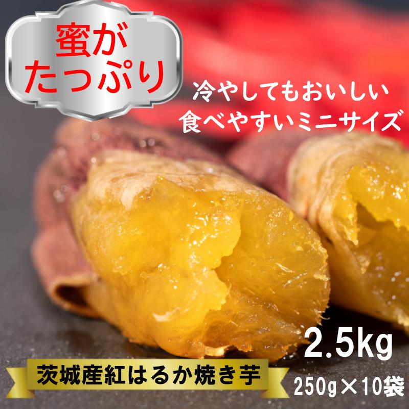 焼き芋 2.5kg 紅はるか ミニサイズ 焼きいも ヤキイモ 茨城県産 さつまいも　おやつ　ギフト 冷やし焼き芋