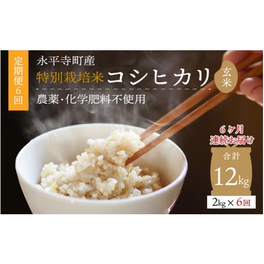 ふるさと納税 福井県 永平寺町  令和5年度産 永平寺町産 農薬不使用・化学肥料不使用 特別栽培米 コシヒカリ 2kg×6ヶ月…