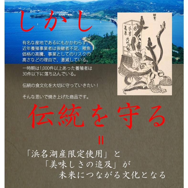 国産 うなぎ 白焼き お中元 ギフト セット 120g長焼き×2尾 蒲焼 真空 パック 浜名湖 愛知 鹿児島 化粧箱 送料無料 お取り寄せ 美味しい 静岡県 ウナギ 鰻 蒲焼