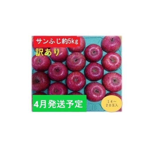 ふるさと納税 青森県 弘前市 4月発送CA貯蔵  家庭用 百年木の香 サンふじ 約5kg 有機肥料100％