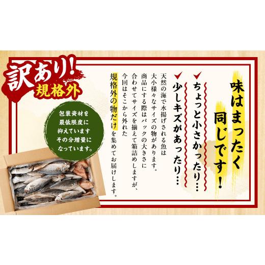 ふるさと納税 茨城県 神栖市 業務用 干物詰め合わせ 1kg 3種 セット さば 鯖 縞ほっけ ほっけ あじ 鯵 魚