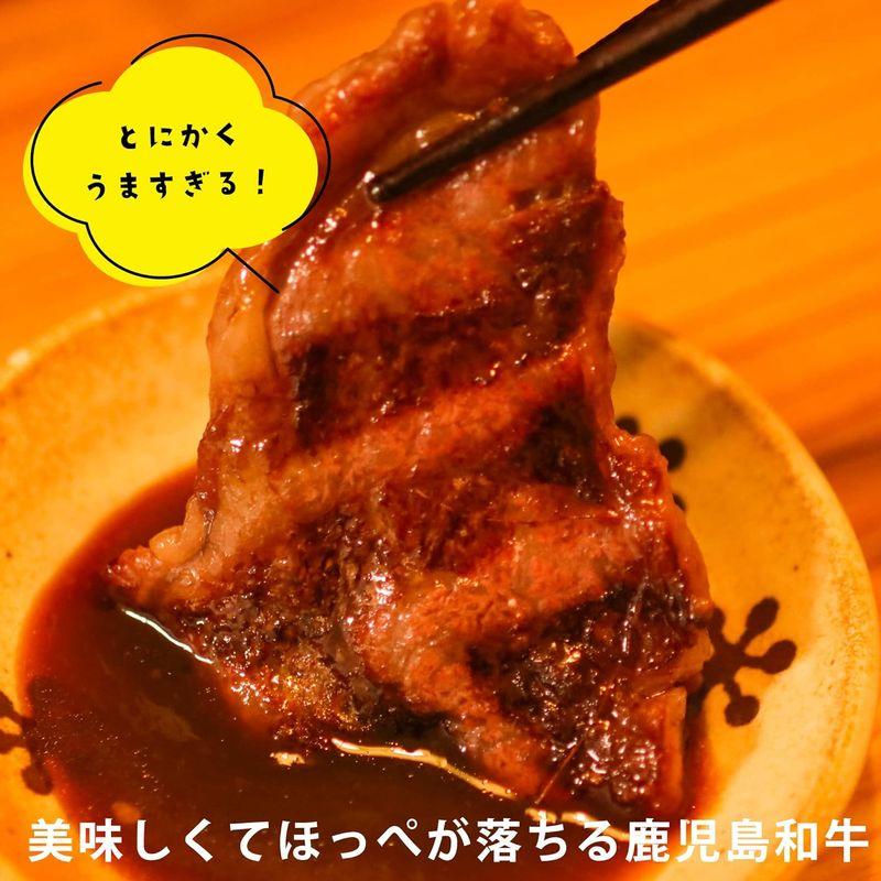 鹿児島県産 黒毛 和牛 ロース 500G キャンプ BBQ 牛 肉 焼肉用 しぜんのおかショップ