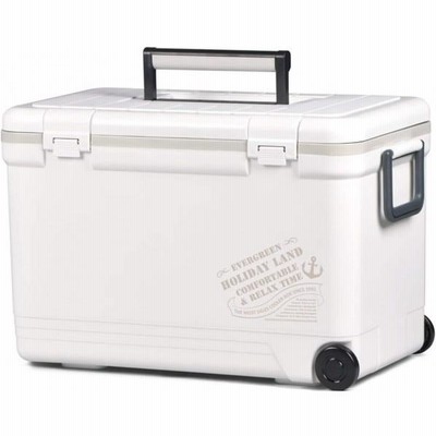 伸和 ホリデークーラー33H ホワイト 33L AKC6401