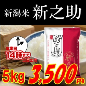 令和元年新潟 新之助5kg 玄米,白米,分搗き選択可能