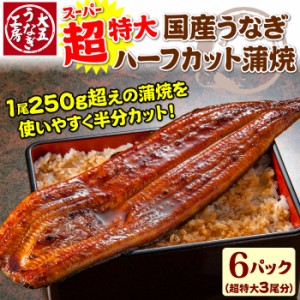 超特大うなぎ ハーフカット蒲焼6パックセット 合計750g以上 6人前 ご自宅用 土用の丑の日 丑の日 国産うなぎ 蒲焼 蒲焼き 冷凍 送料無料