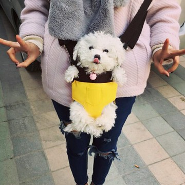 貓包胸前包外出便攜貓背包寵物包狗狗包裝貓茶杯犬泰迪出行遛狗包