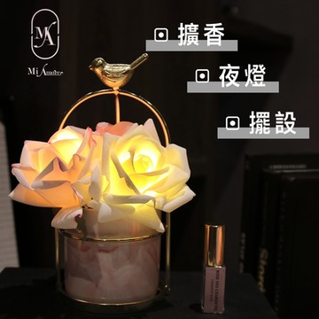 【愛莯】迷你鳥籠花燈系列