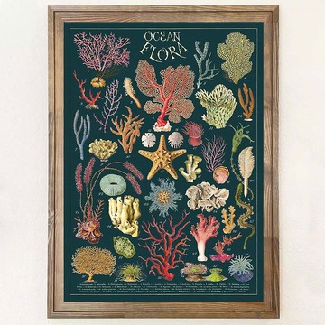 Cavallini & Co.  海報\包裝紙 海洋系列(多款)