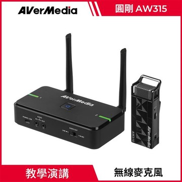 AVERMEDIA 圓剛 AVerMic AW315 單麥克風組
