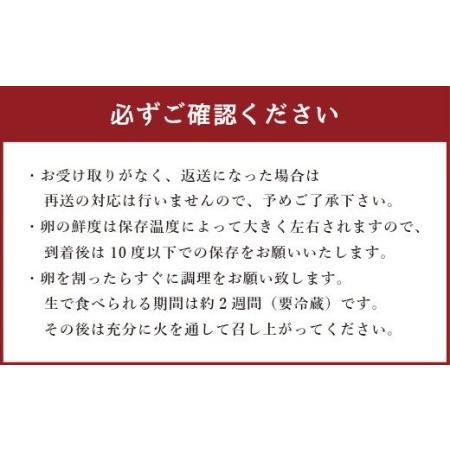 ふるさと納税 ふるさと地たまご 60個（M・Lサイズ）卵 赤たまご 10個破損補償含む 熊本県宇城市