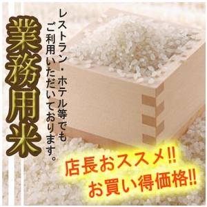 新米 精白米 10kg 新潟県産 こしいぶき 令和5年産 安心安全な特別栽培米