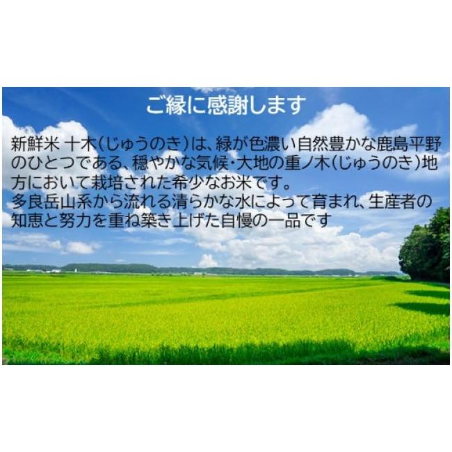 ふるさと納税 佐賀県 鹿島市 D-136 肥前の国 新鮮米 十木（さがびより）3kg×2か月定期便