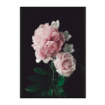 雍容華貴 牡丹I 花卉藝術掛畫  40 x 30cm  黑框