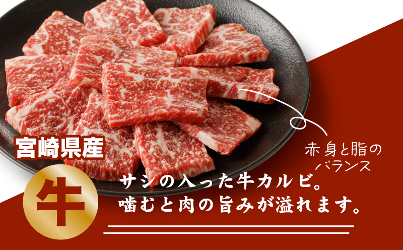 宮崎県産焼肉３種セット（牛・豚・鶏） 計６００ｇ  カット済み  K16_0079_1