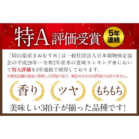 ふるさと納税 令和4年産 特別栽培米 きぬむすめ10kg 5kg×2袋 岡山県産 白米 精米 単一原料米 矢掛町《30日以内に順次出荷(土日祝除く)》JA.. 岡山県矢掛町