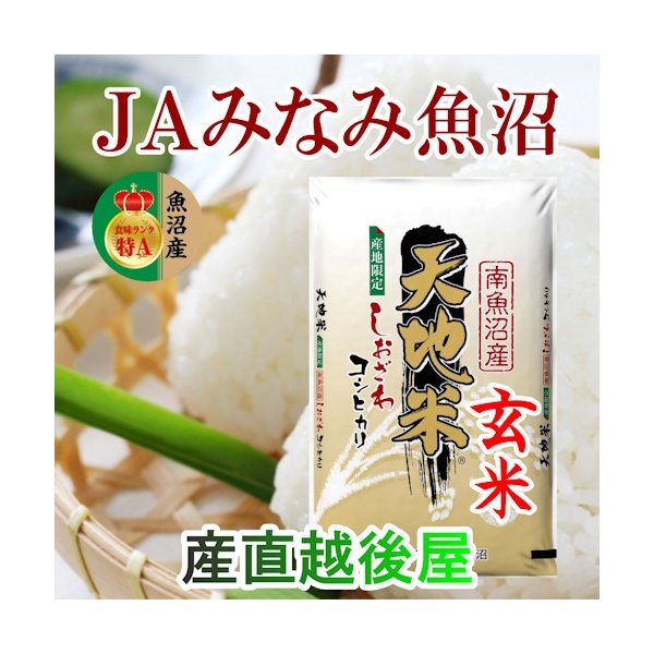 令和３年産 お米 25kg 一部地域を除く 新潟産こしいぶき 特別栽培米 玄米25kg×1袋 白米4.5kg×5袋 精米無料 送料無料  最大41%OFFクーポン 25kg