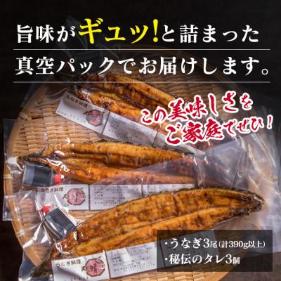 ふるさと納税 日南市 職人手焼きうなぎ　3匹