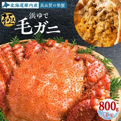 ふるさと納税 稚内市   浜ゆで毛ガニ(堅蟹) 800g×1尾