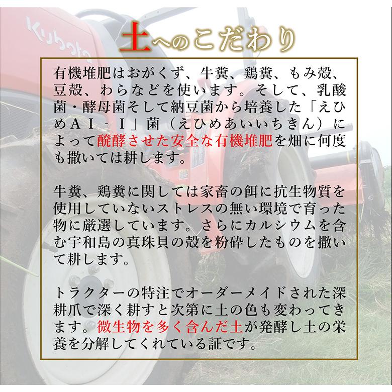 遠赤愛媛有機八片黒にんにく 皮付きバラ 300g 5個セット購入で1個サービス