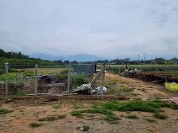 卓蘭一般農業區｜低於行情｜大面寬平坦休閒農地｜苗栗縣卓蘭鎮西坪段