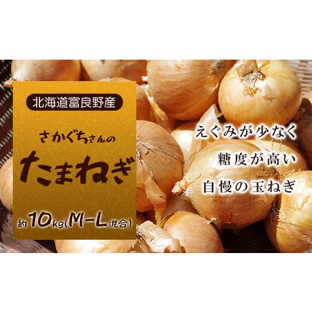 ふるさと納税 さかぐちさんのたまねぎ 約10kg（M-Lサイズ混合） 北海道富良野市