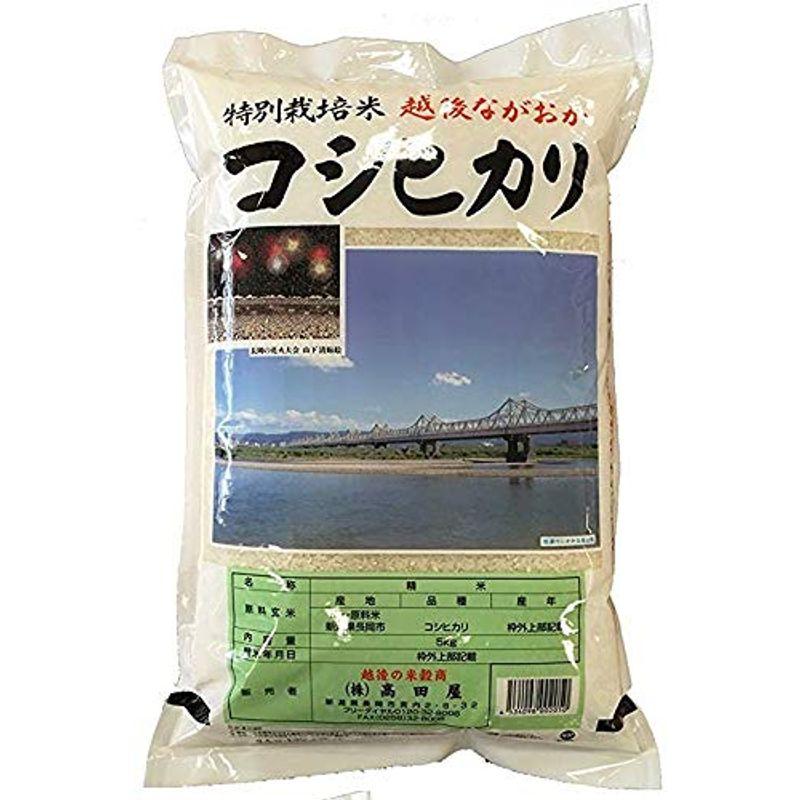 精白米 5kg 新潟産(長岡産)コシヒカリ 令和3年産 安心安全な特別栽培米