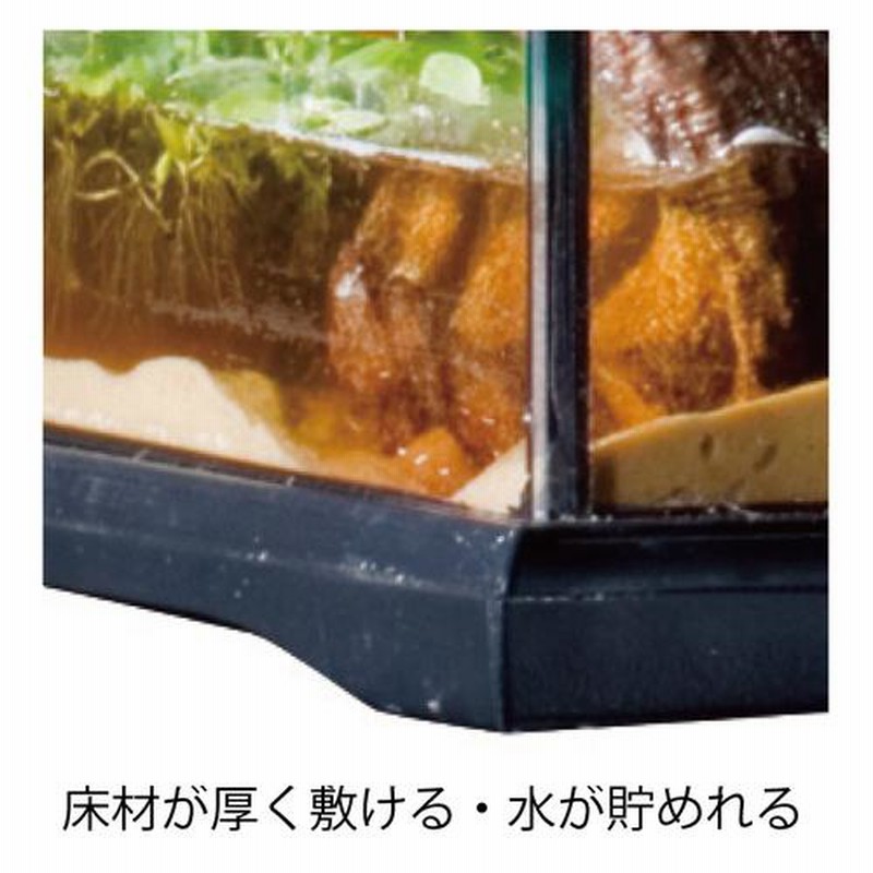 GEX エキゾテラ グラステラリウム ナノキューブ 飼育ケージ