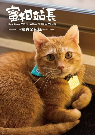 【電子書】蜜柑站長寫真全紀錄