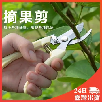 德國進口剪樹強力 果樹專用 園藝修枝剪 傢用花木葡萄剪子 修剪樹枝 花枝剪刀 園藝剪刀 高枝剪 粗枝剪刀 修花剪刀