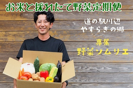 道の駅からお届け!お米と採れたて野菜定期便 013-15