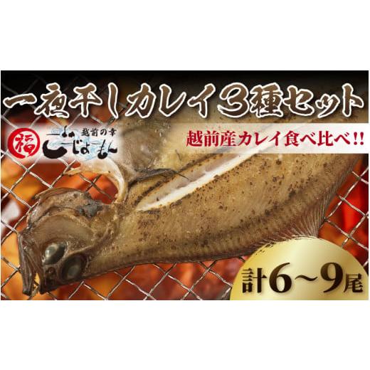 ふるさと納税 福井県 越前町 [e15-a001] 越前産 かれい 「一夜干しカレイ3種セット（合計6〜9尾）」