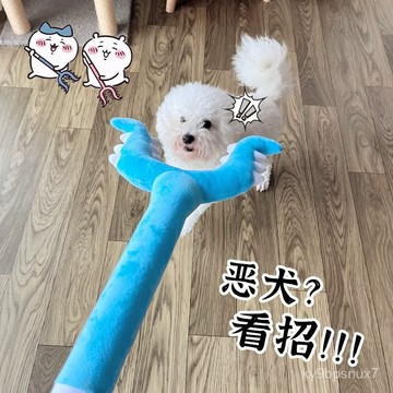 💕喵狗鋪🔥 逗貓棒 逗狗 寵物貓咪狗狗玩具 小貓小狗禮物棒子 小狗狗毛絨玩具 討伐棒 插狗棒 耐咬比熊泰迪 逗狗棒