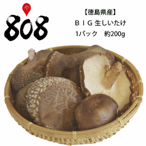  BIG 生しいたけ 1パック 約200g椎茸 小ぶり椎茸のウマ煮炒め 椎茸ソテ