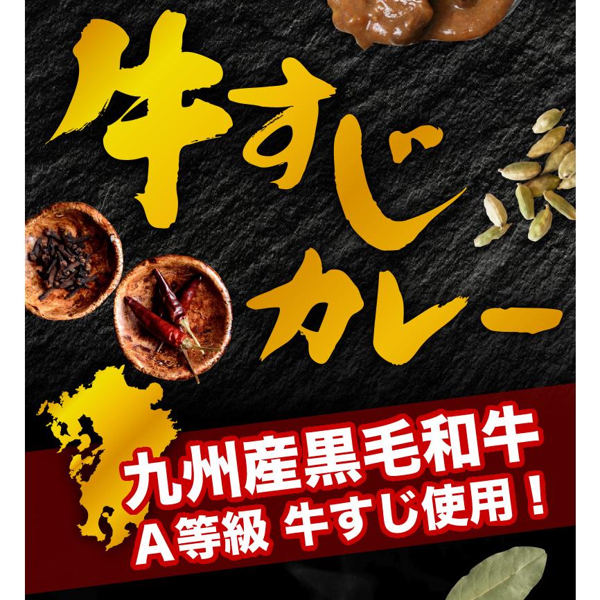 極旨牛すじカレー 10食 九州産黒毛和牛 A等級牛すじ使用 本格カレールー 自然素材 独自ブレンド 湯煎 簡単調理 時短 送料無料 常温便