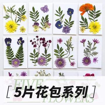 5片乾燥花系列 花包組合 真花壓花 永生花 森林系 少女寫真 壁畫 DIY水晶滴膠 乾燥花 植物標本