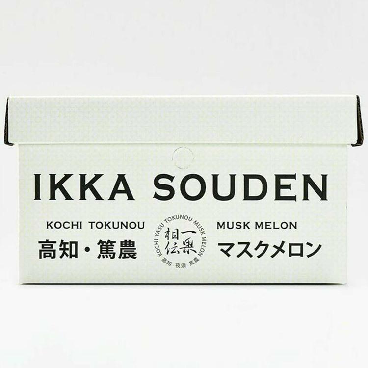 マスクメロン ギフト 高級 2玉 合計2.8kg (1.4kg×2玉)  良品 産地直送 高知県産 贈答用 産直 常温便 同梱不可 指定日不可